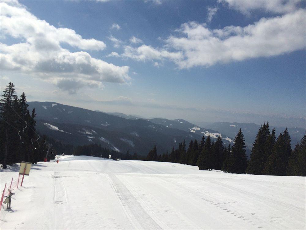 Panoramadorf Saualpe Hotell Eberstein Eksteriør bilde