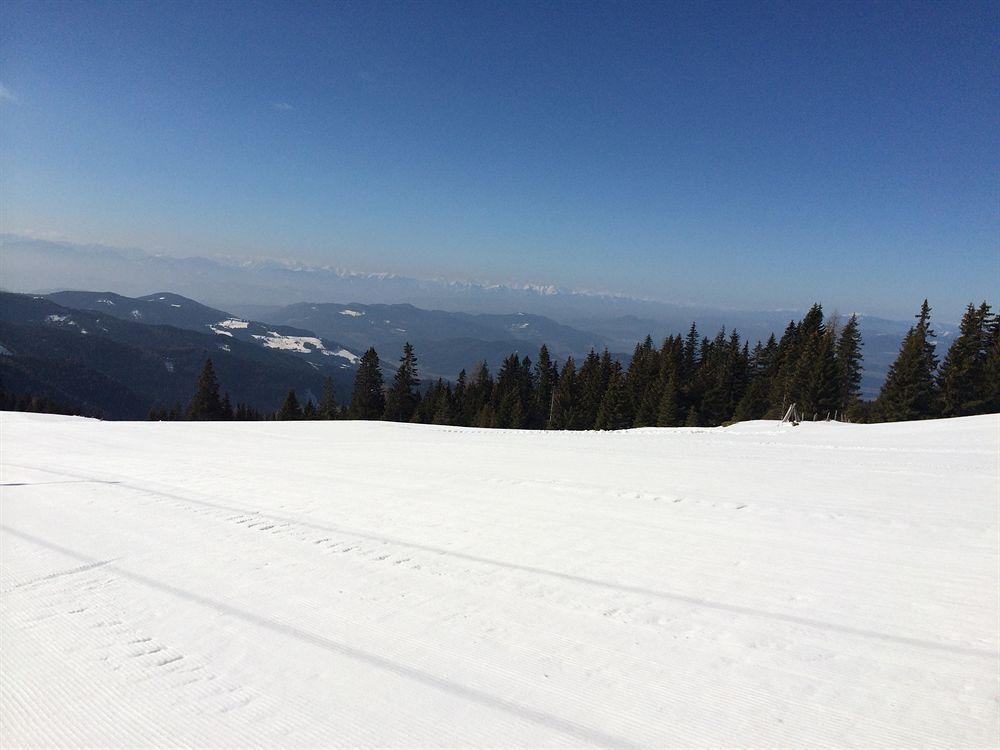Panoramadorf Saualpe Hotell Eberstein Eksteriør bilde